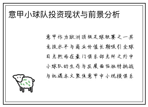 意甲小球队投资现状与前景分析